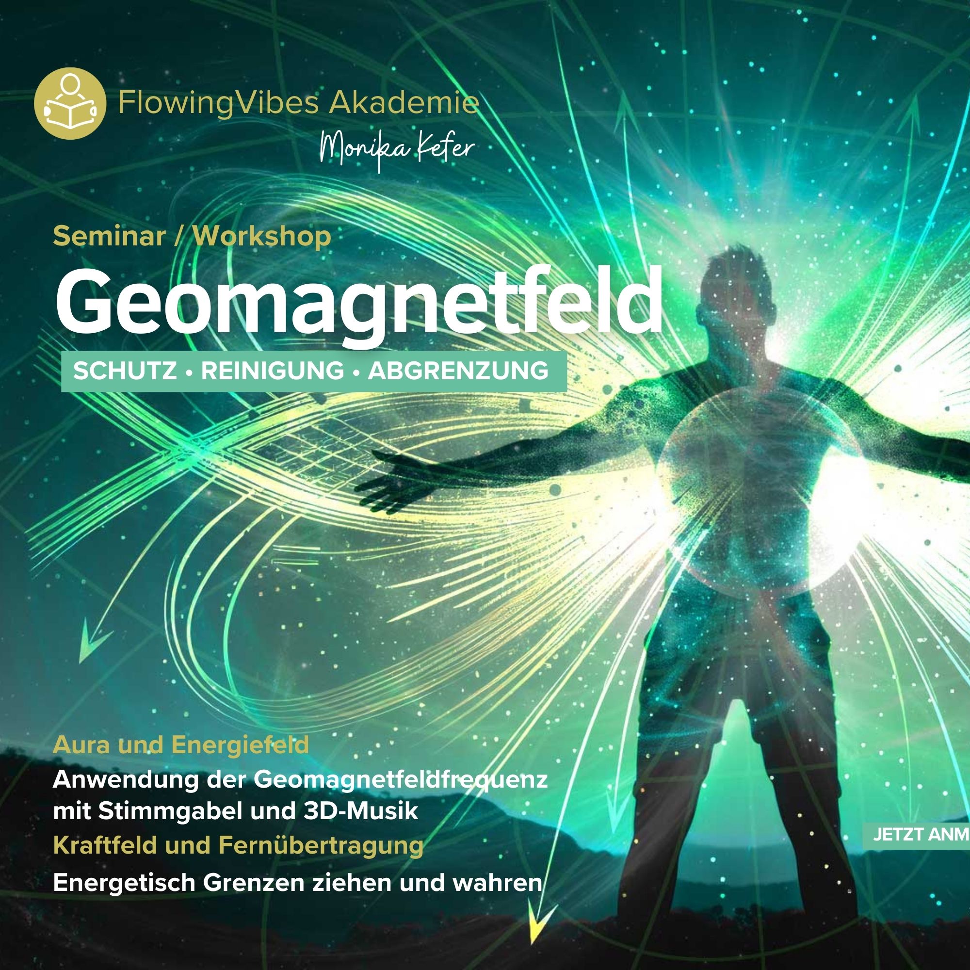 Geomagnetfeld Schutz Reinigung Abgrenzung Seminar Shop